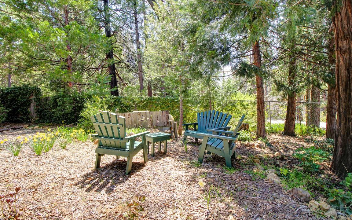 Photo of Others in Idyllwild