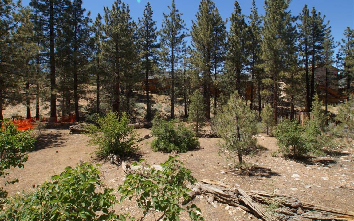 Photo of Others in Big Bear