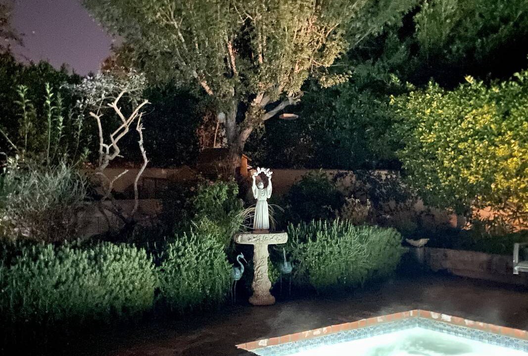 Photo of Others in Palm Desert