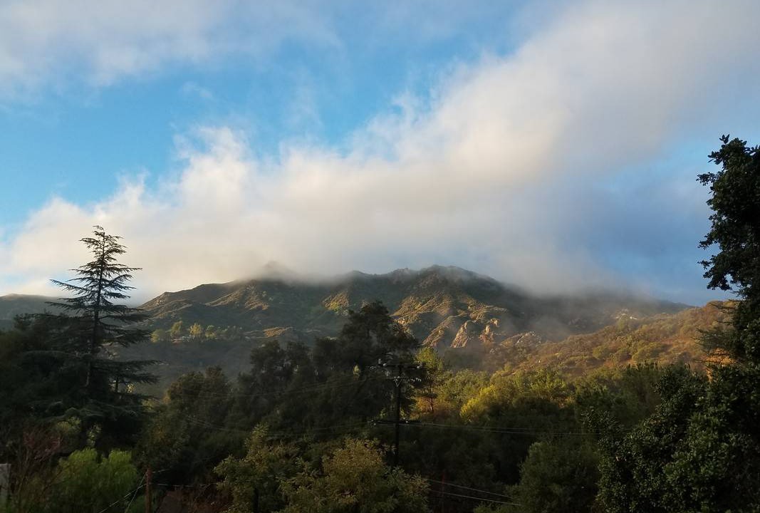 Photo of Others in Old Topanga