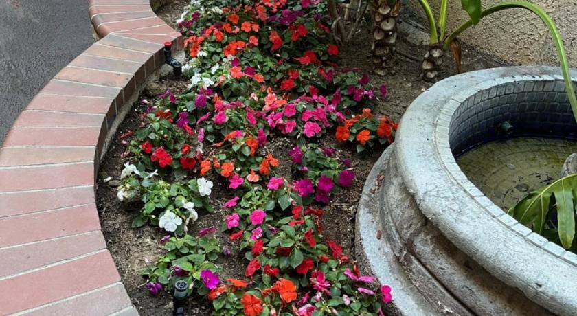 Photo of Others in San Juan Capistrano