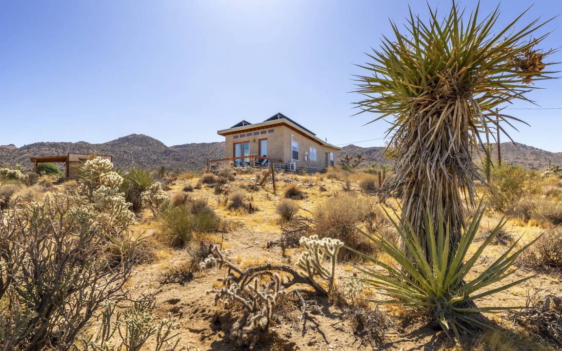 Photo of Others in Joshua Tree Highlands