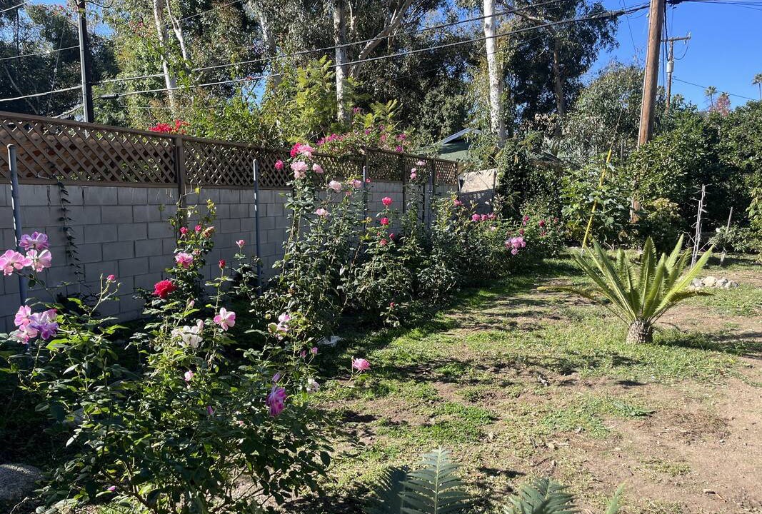 Photo of Others in Altadena