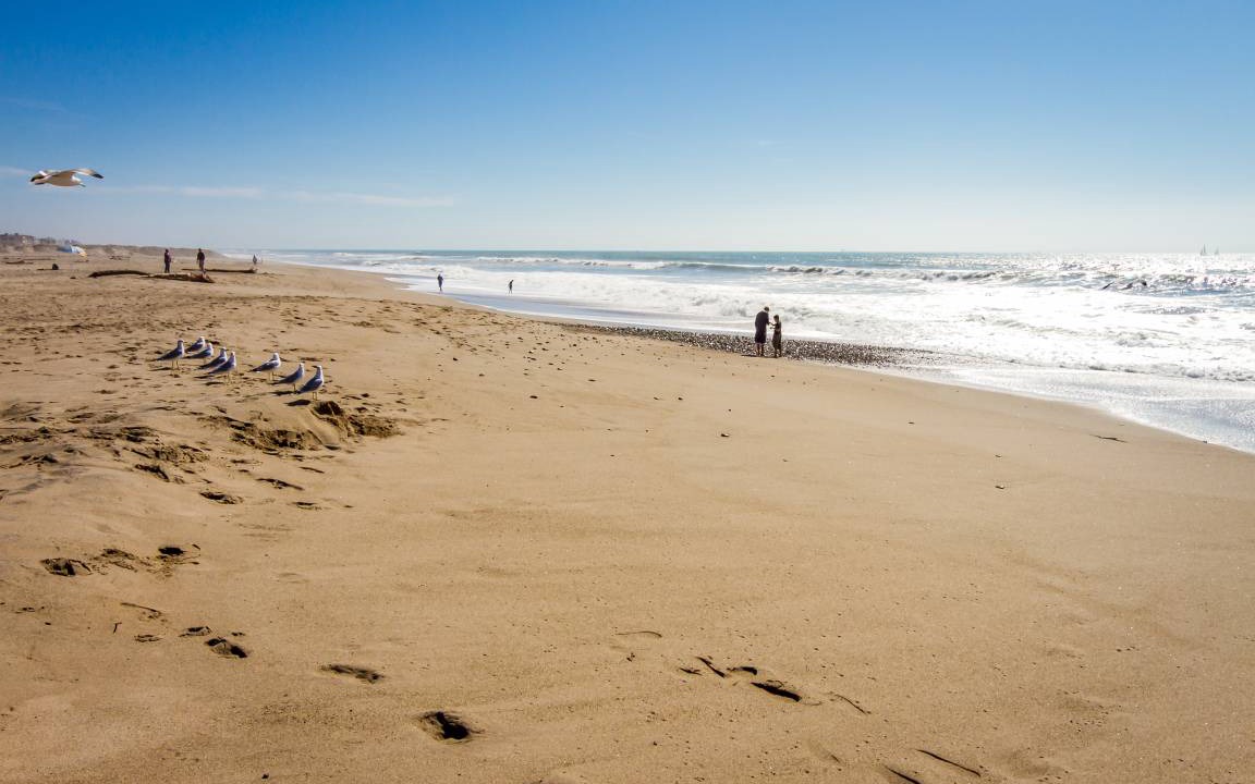 Photo of Others in Channel Islands