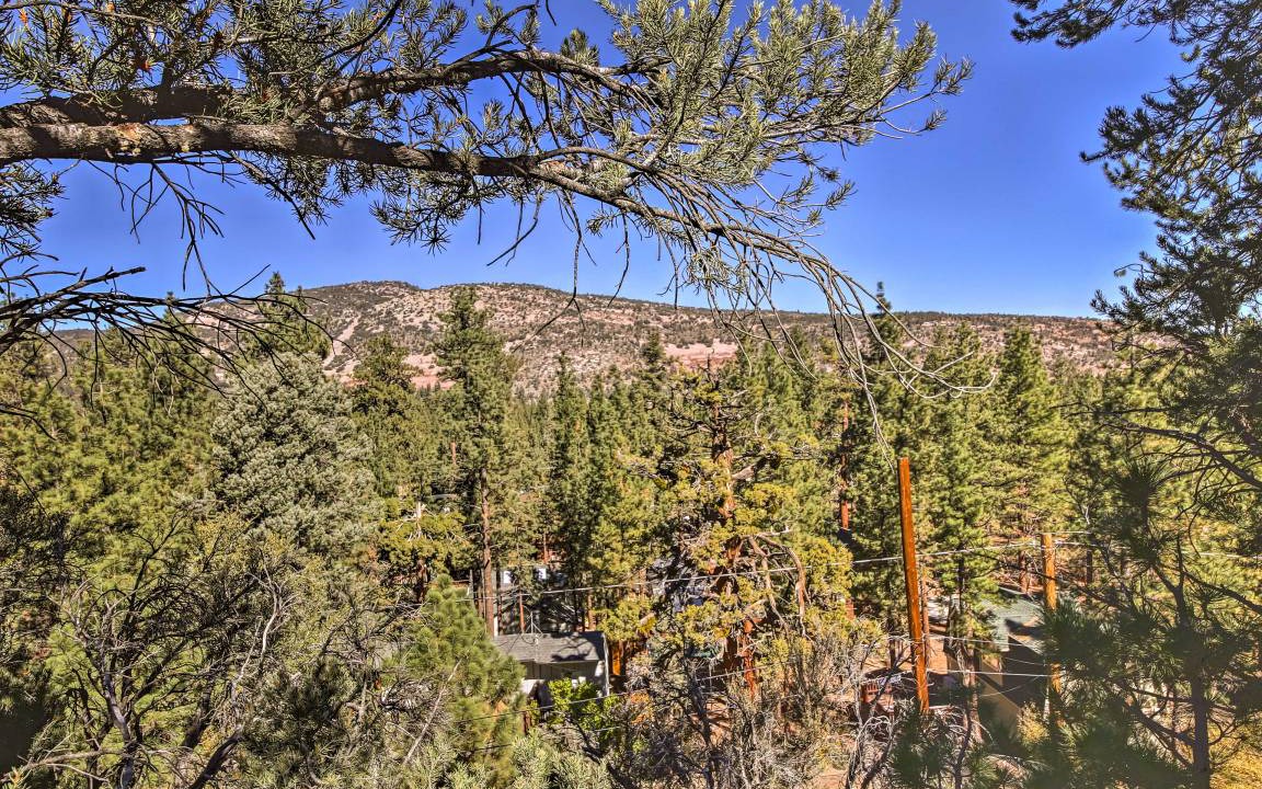 Photo of Others in Big Bear