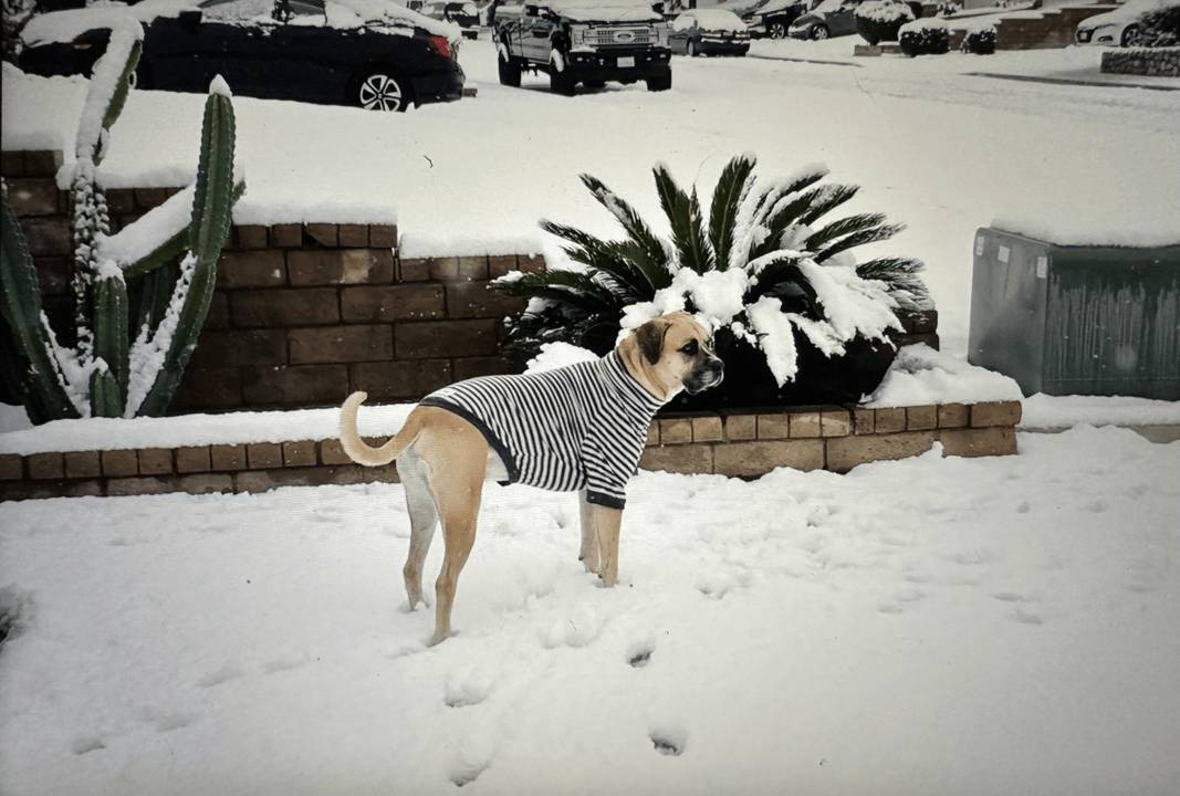 Photo of Others in Palmdale