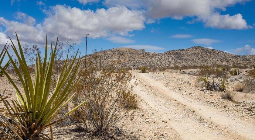 Photo of Others in Joshua Tree
