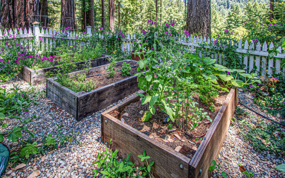 Photo of Others in Cazadero