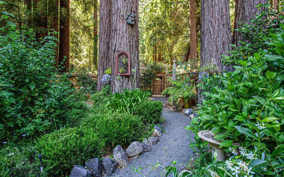 Photo of Others in Cazadero