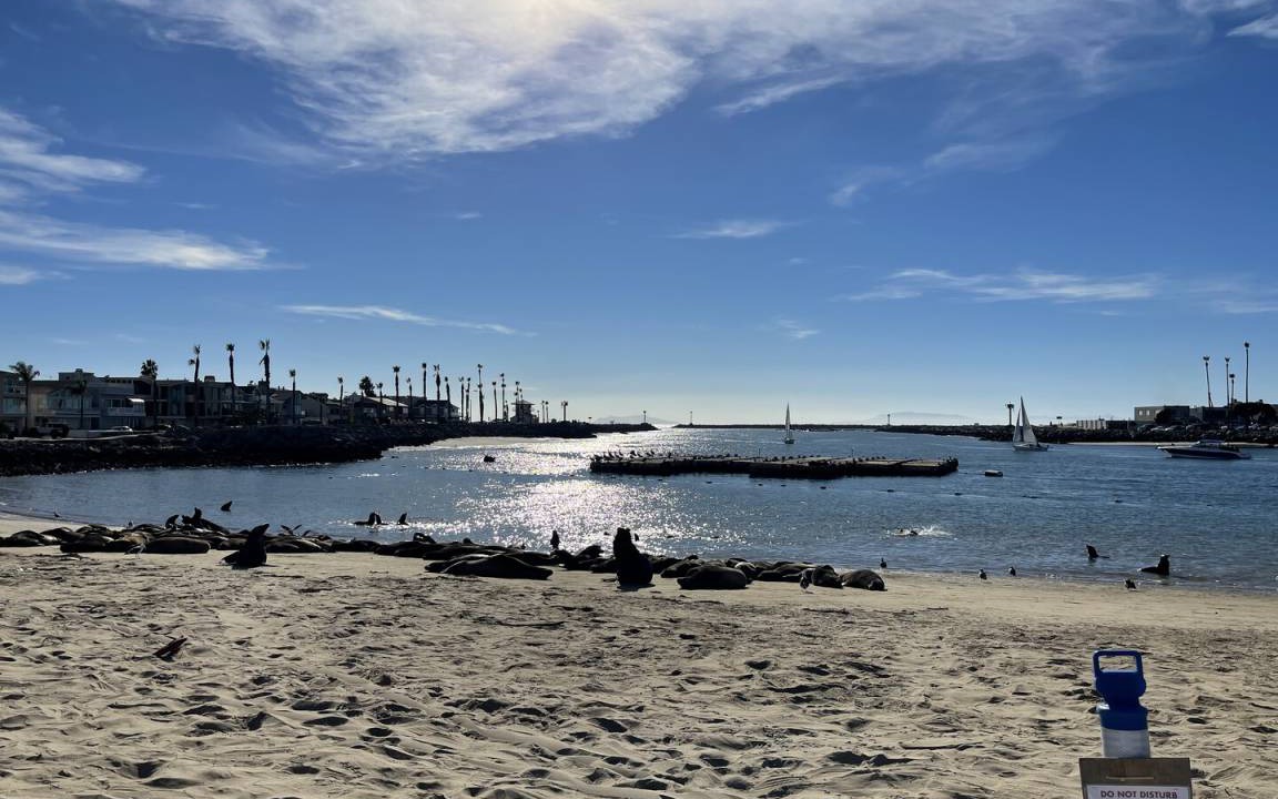 Photo of Others in Silver Strand