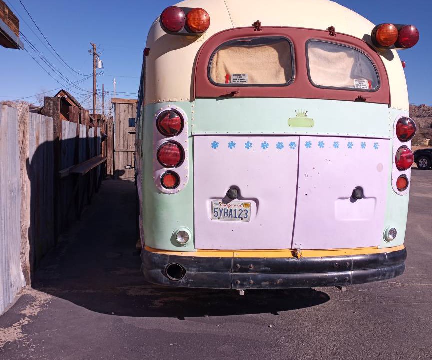 Photo of Others in Joshua Tree