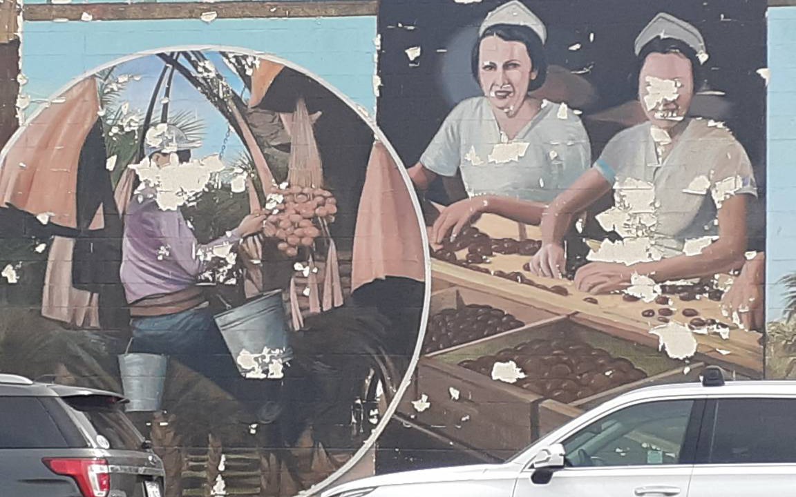 Photo of Others in Desert Hot Springs