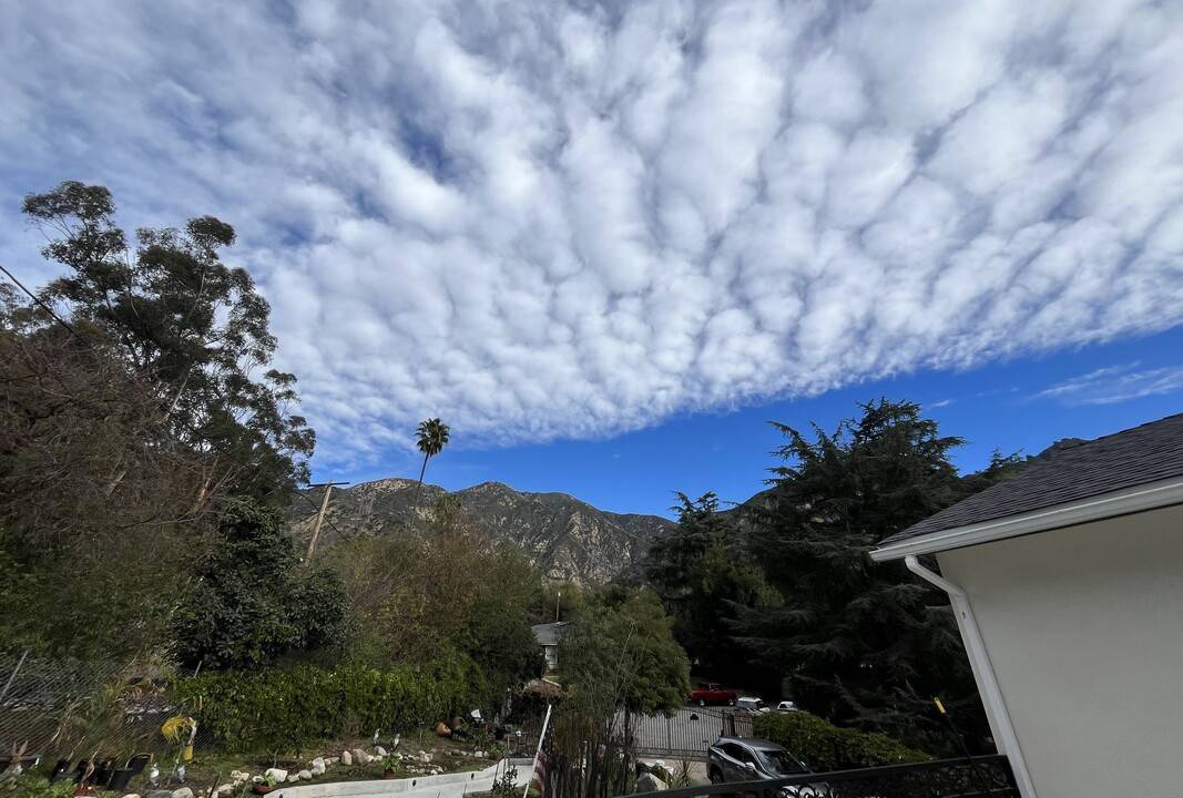 Photo of Others in Altadena