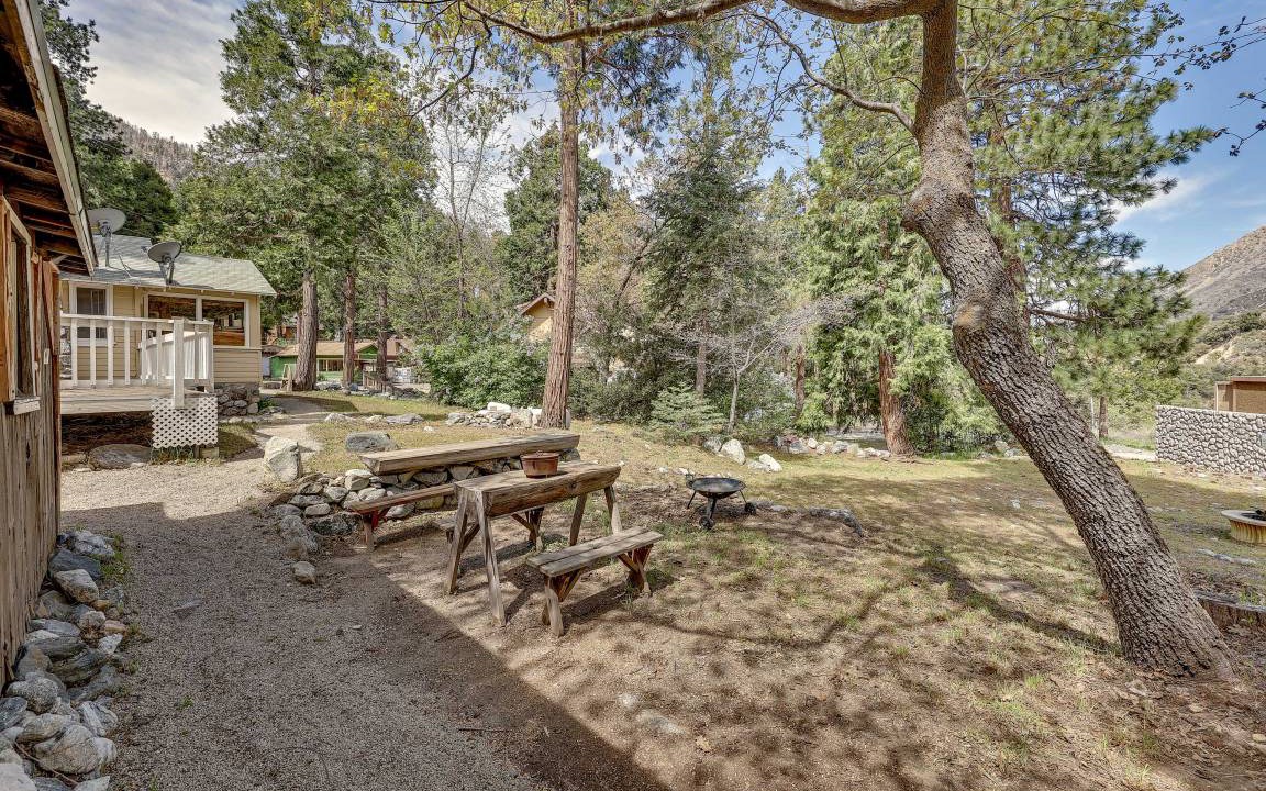 Photo of Others in Forest Falls
