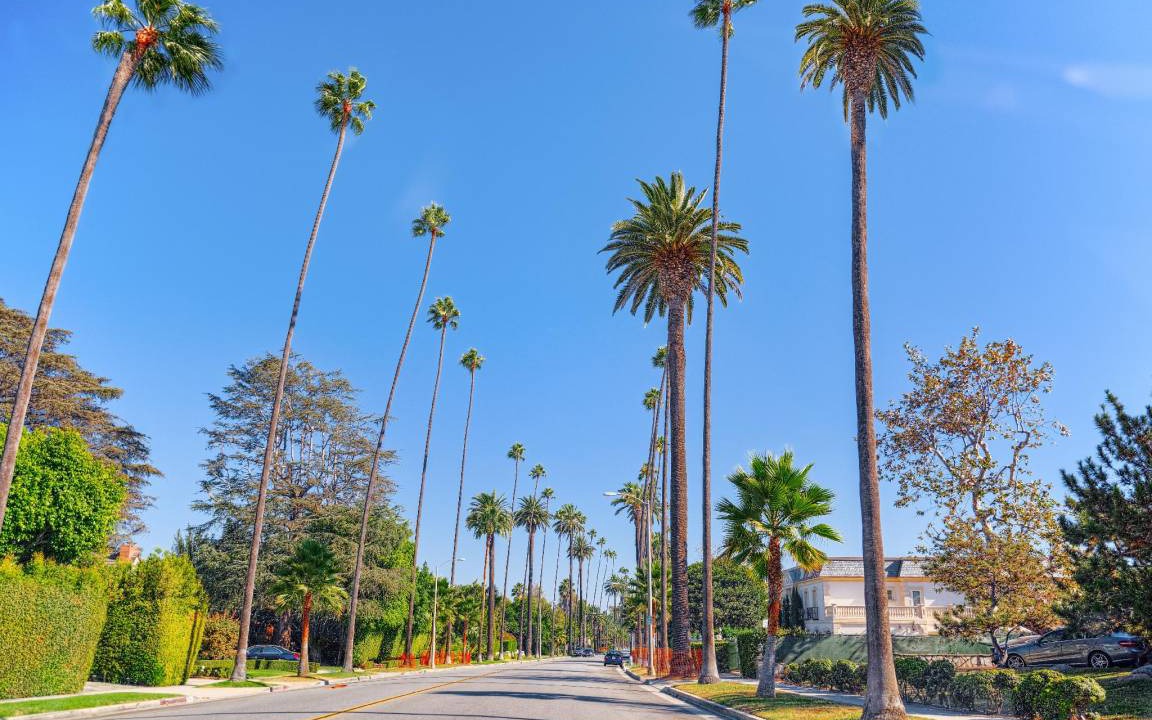 Photo of Others in Greater Wilshire - Hancock Park