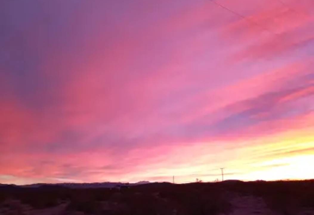 Photo of Others in Joshua Tree