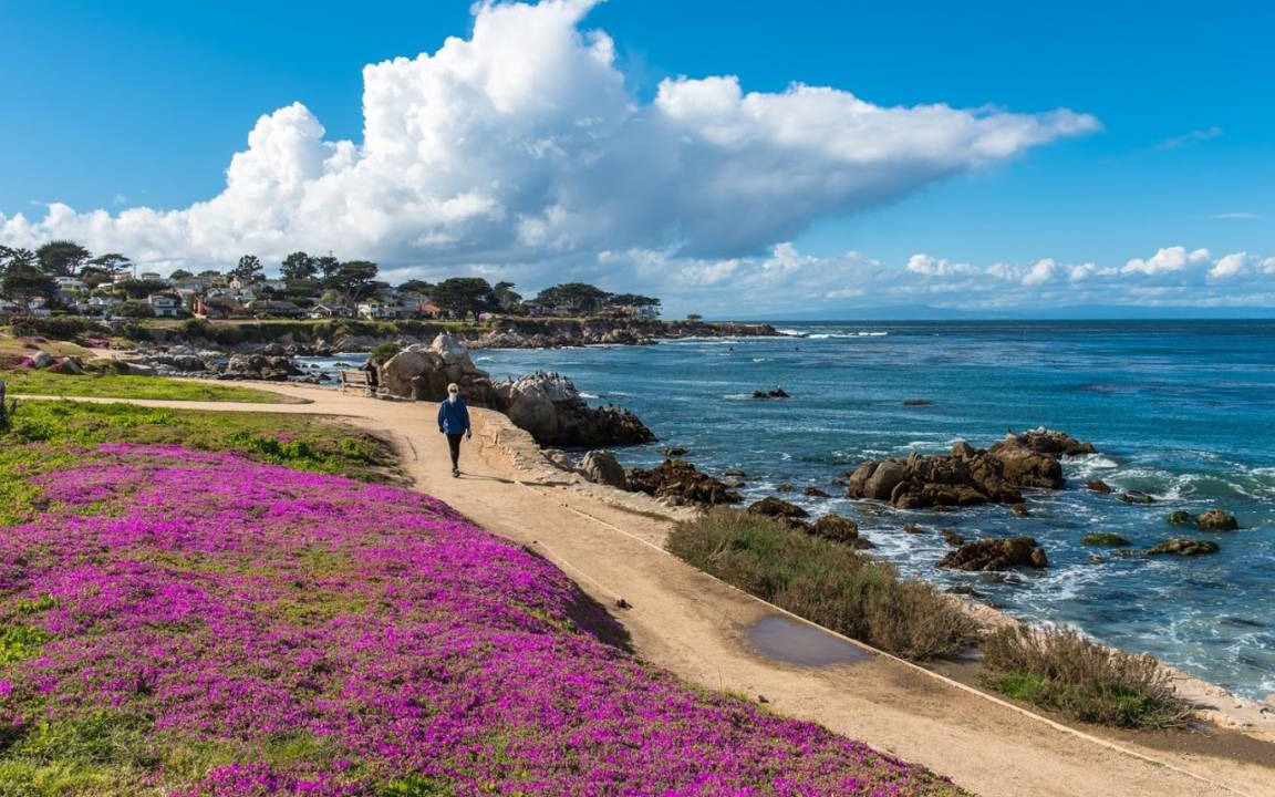 Photo of Others in Carmel Highlands