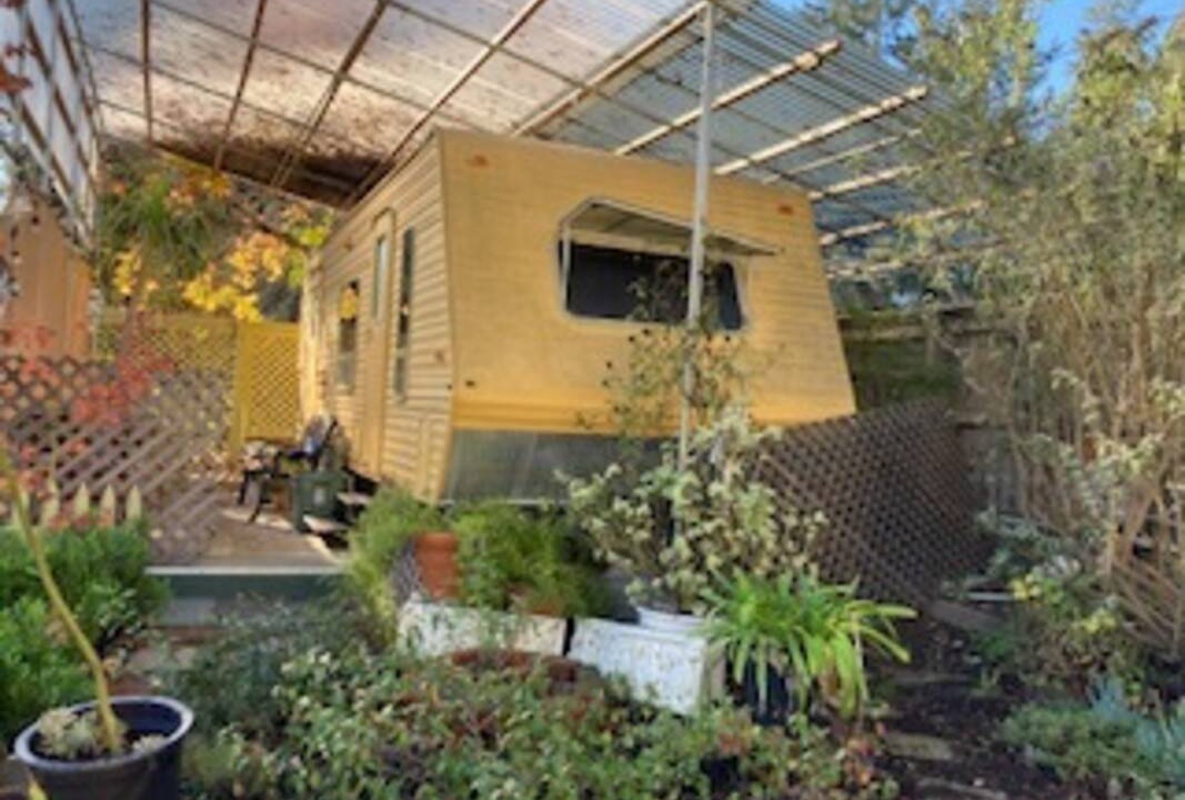 Photo of Others in Sebastopol