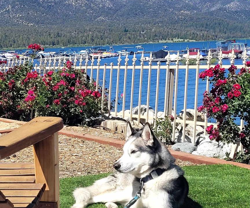 Photo of Others in Big Bear Lake