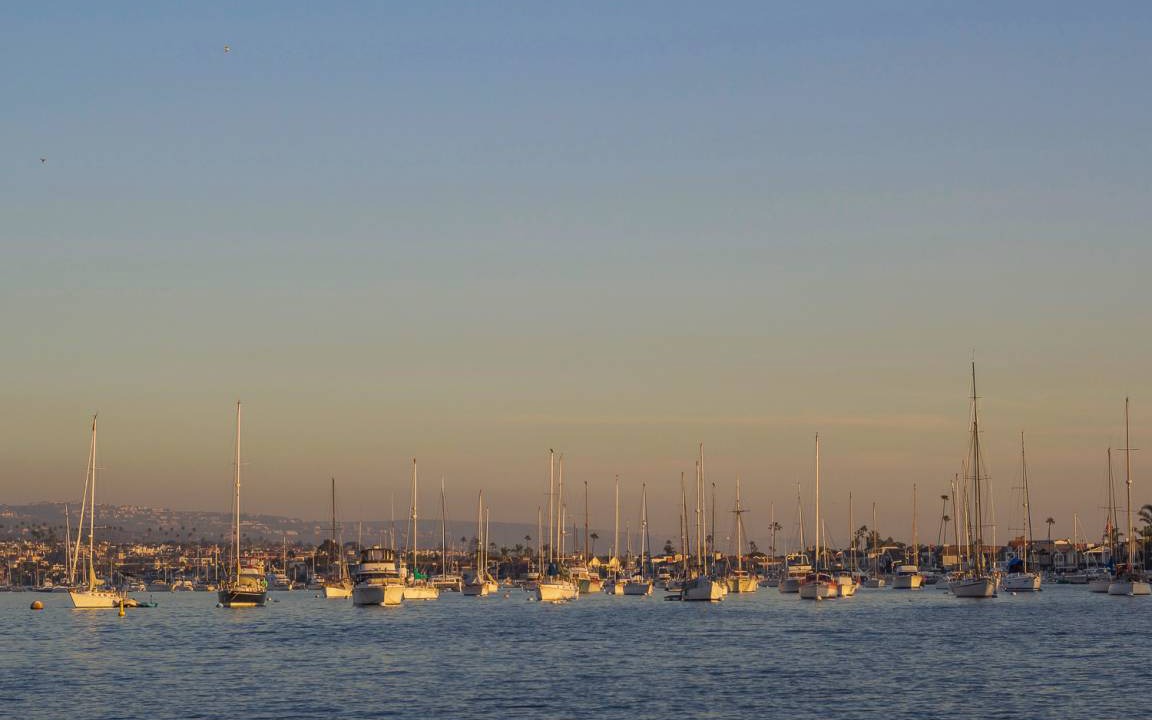 Photo of Others in West Newport