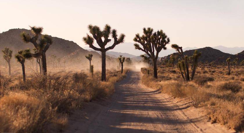 Photo of Others in Twentynine Palms