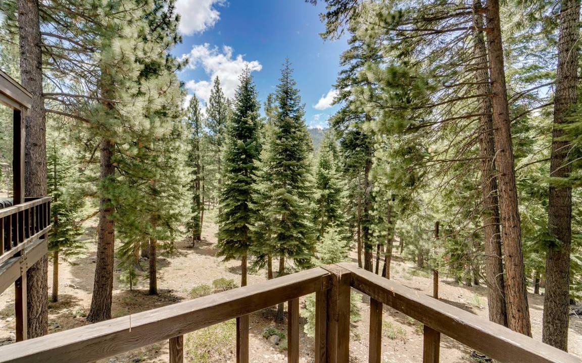 Photo of Others in Truckee