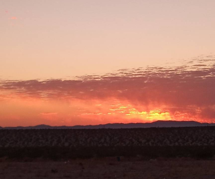 Photo of Others in Joshua Tree