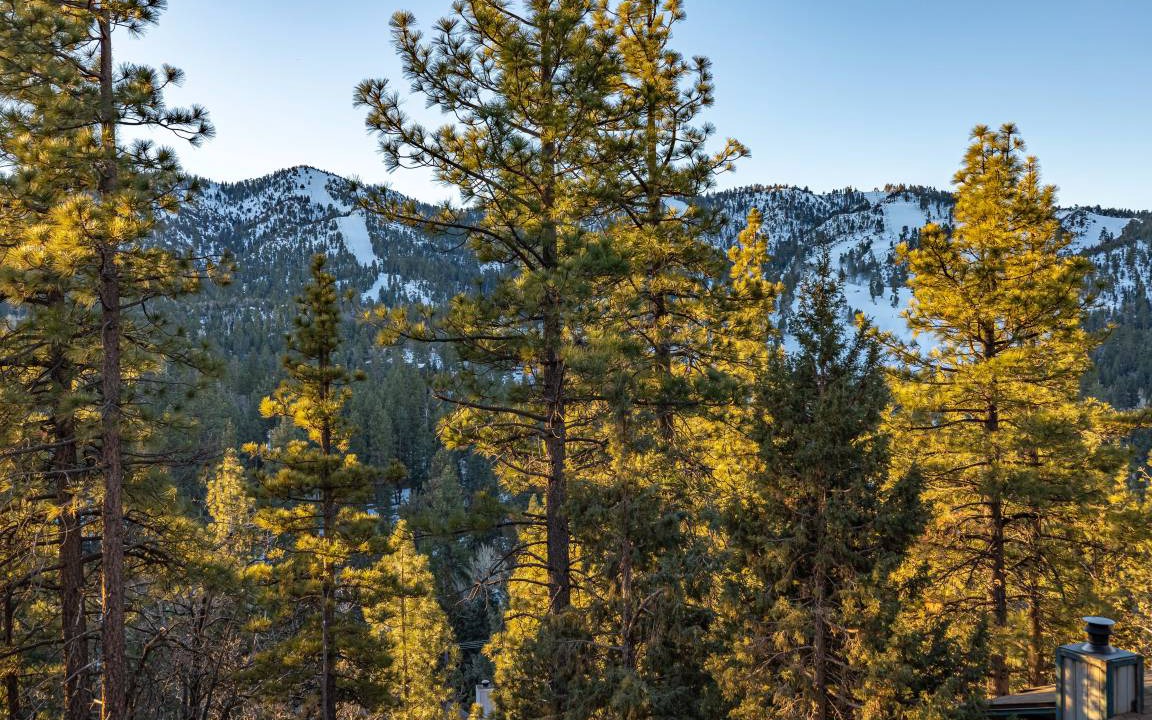 Photo of Others in Upper Moonridge