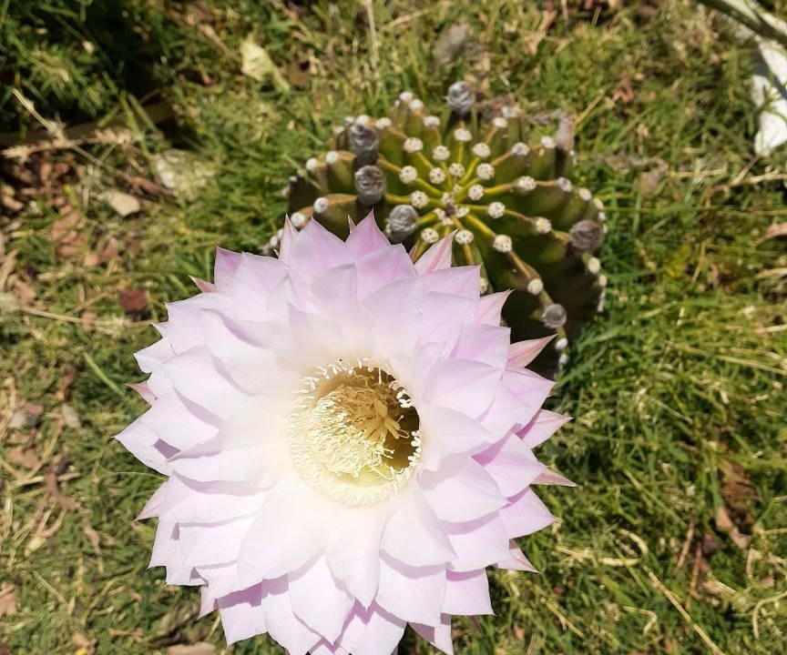 Photo of Others in Desert Hot Springs
