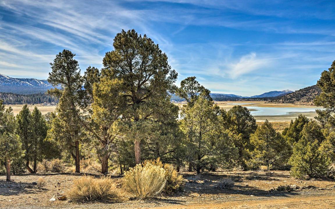 Photo of Others in Baldwin Lake