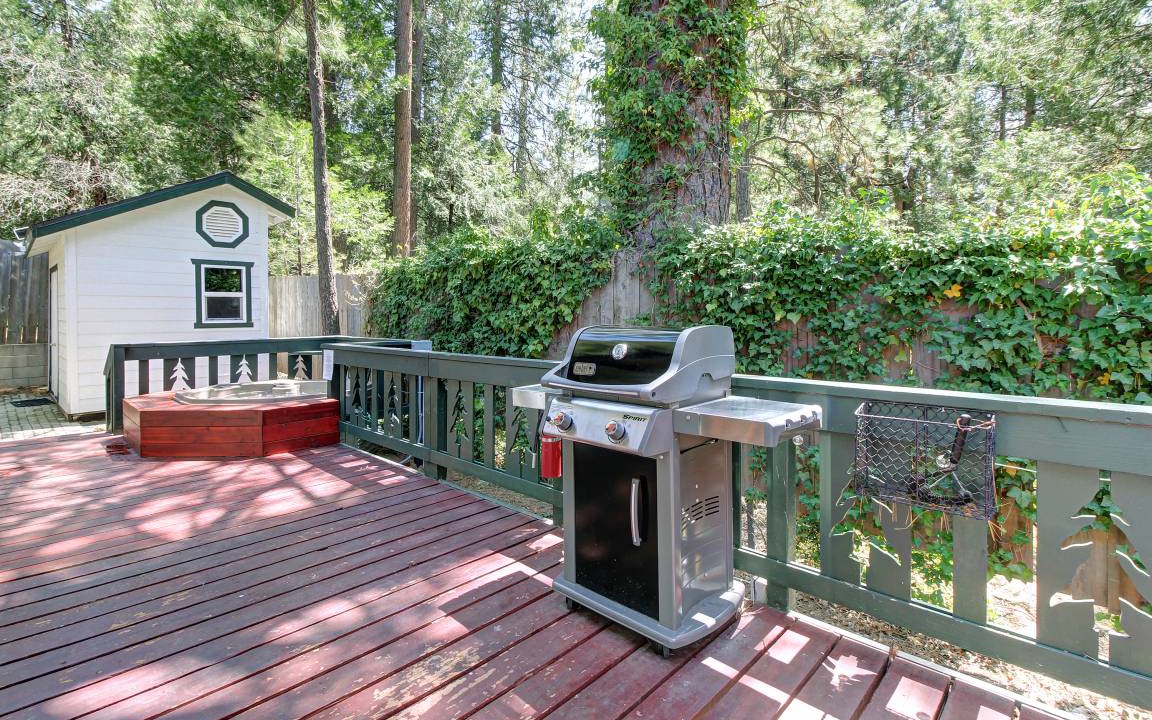 Photo of Others in Idyllwild