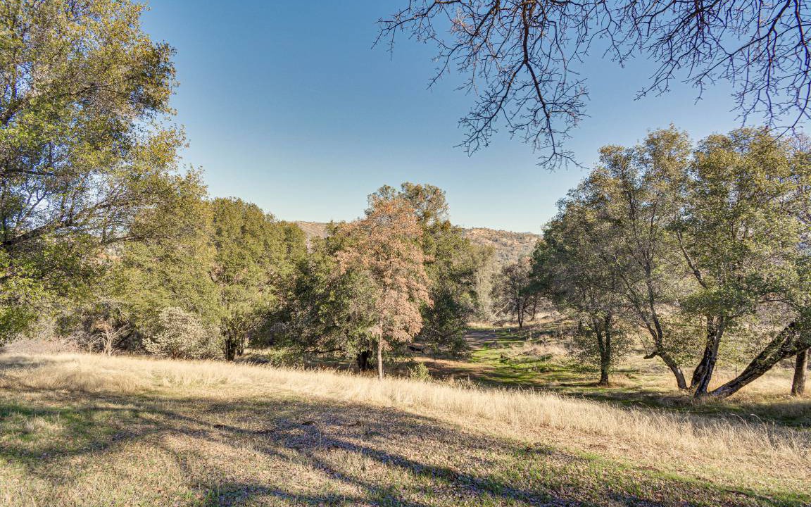 Photo of Others in Mariposa