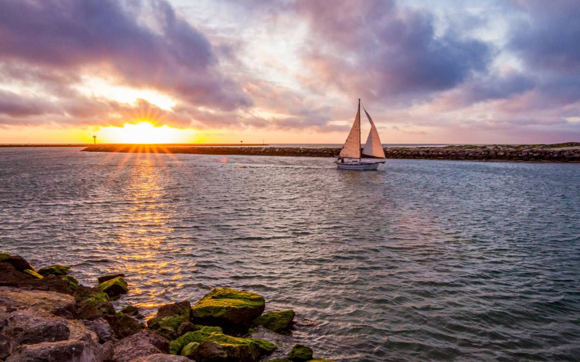 Photo of Others in Channel Islands