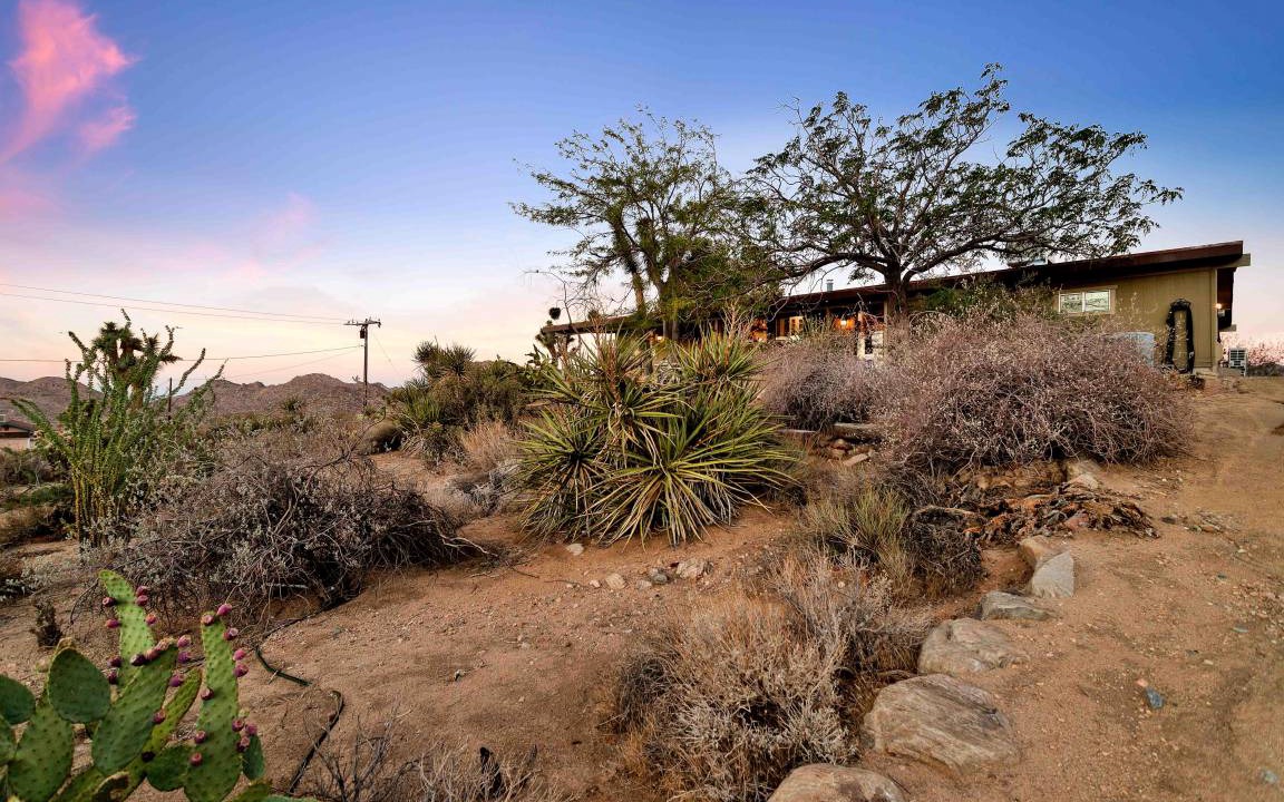 Photo of Others in Joshua Tree Highlands