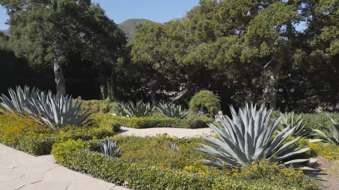 Photo of Others in Montecito