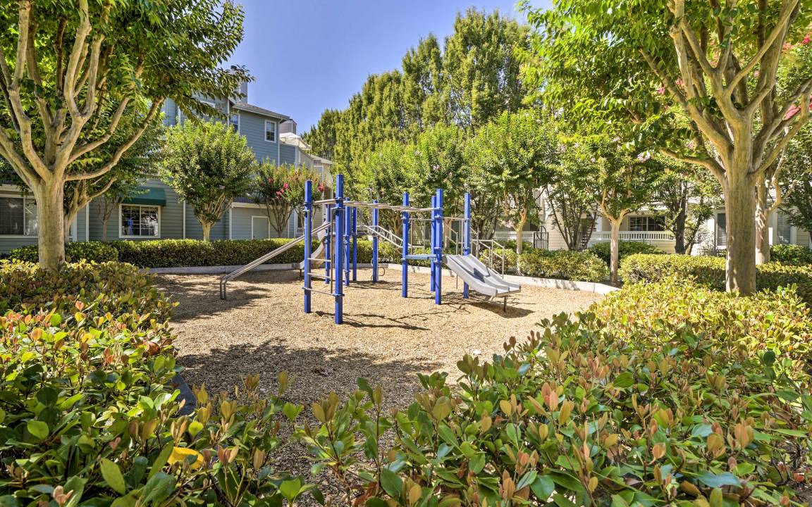 Photo of Others in Sunnyvale