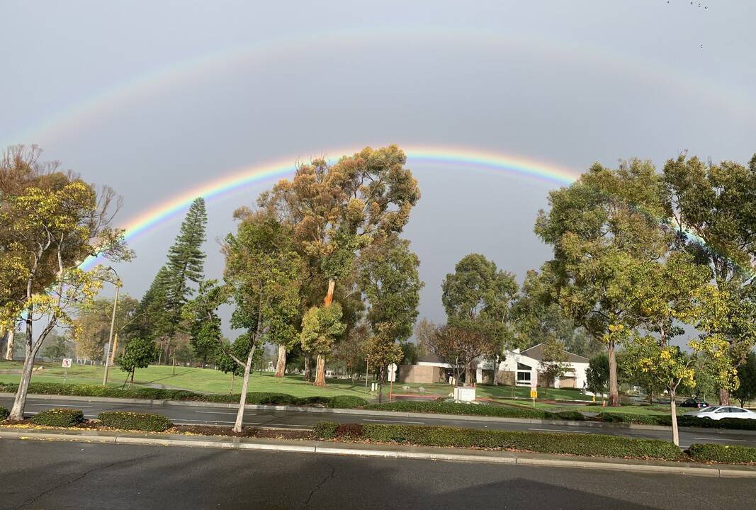 Photo of Others in El Camino Real