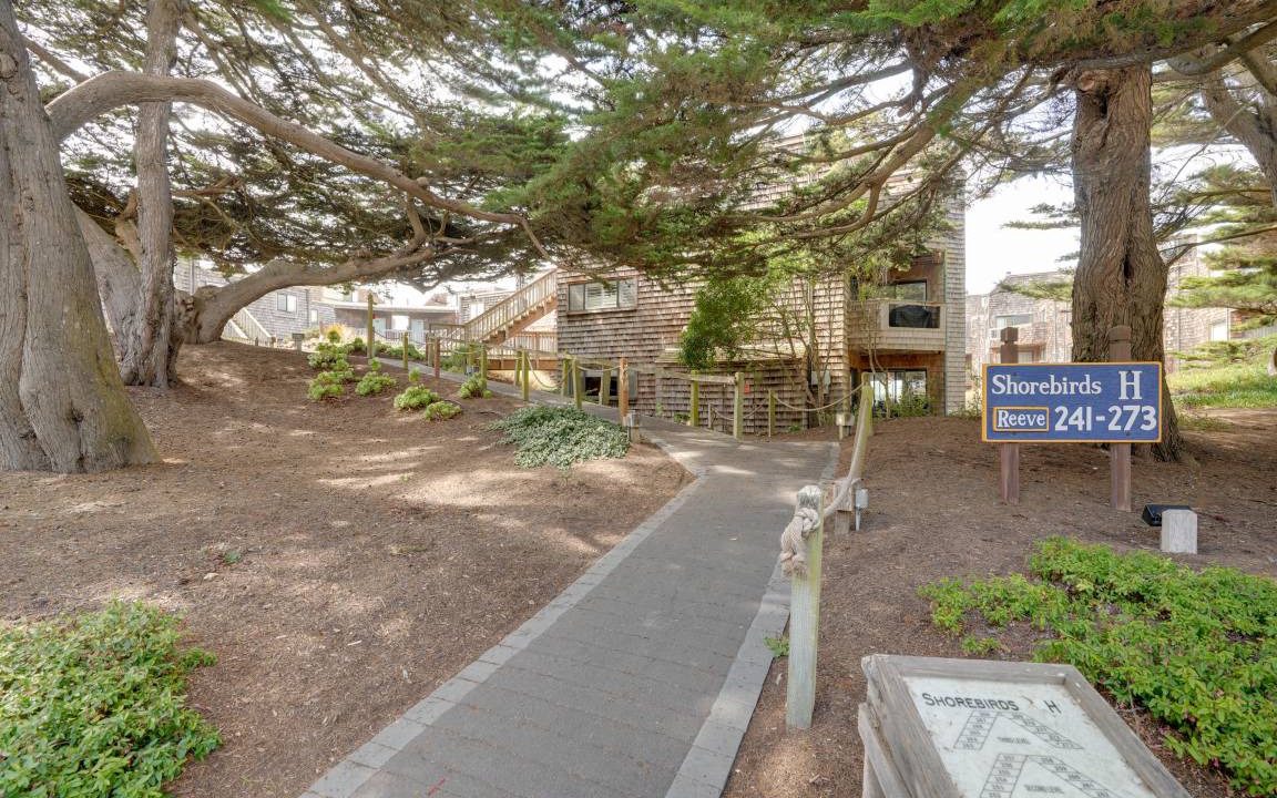 Photo of Others in Pajaro Dunes