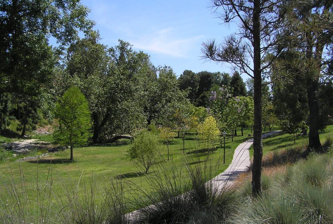 Photo of Others in Laguna Woods