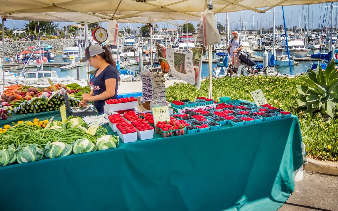 Photo of Others in Channel Islands