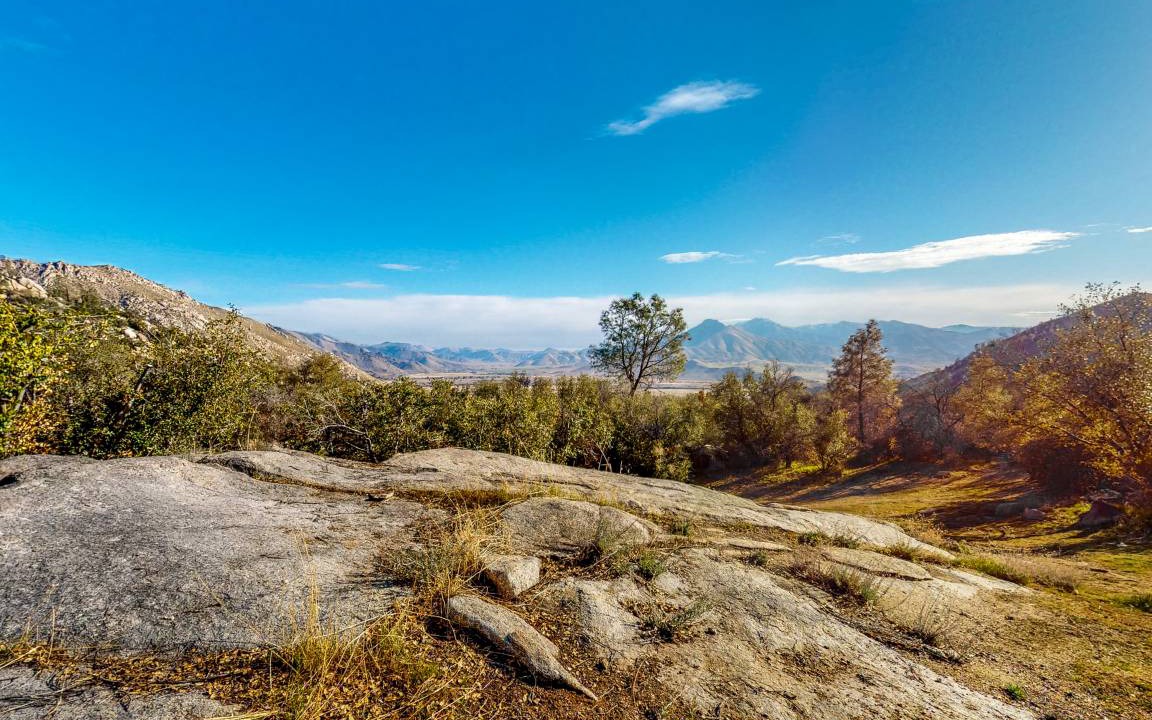 Photo of Outdoor in Weldon