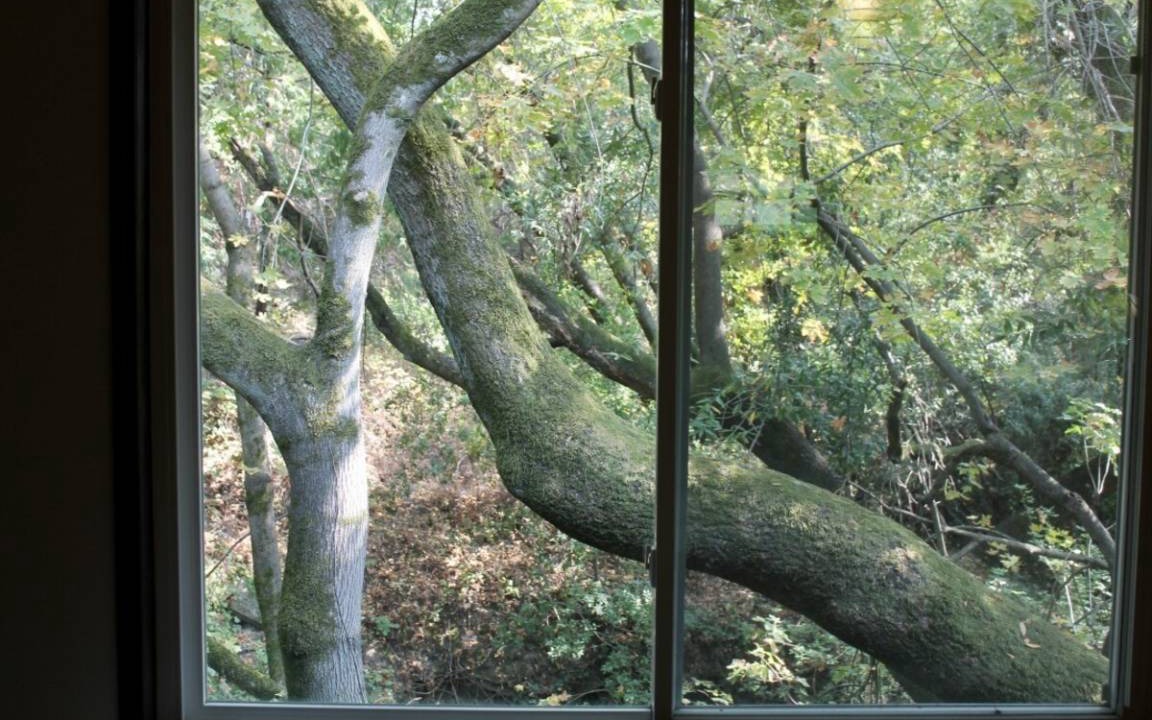 Photo of Others in El Sobrante