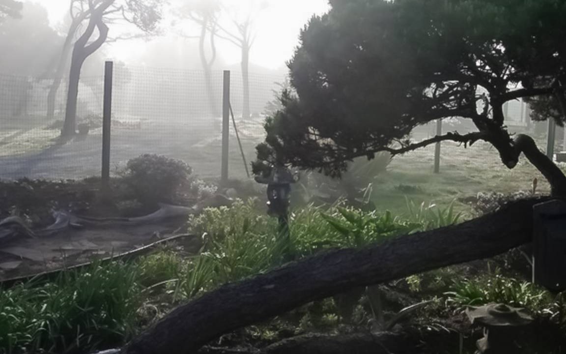 Photo of Others in Fort Bragg