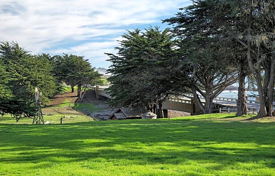 Photo of Others in San Simeon