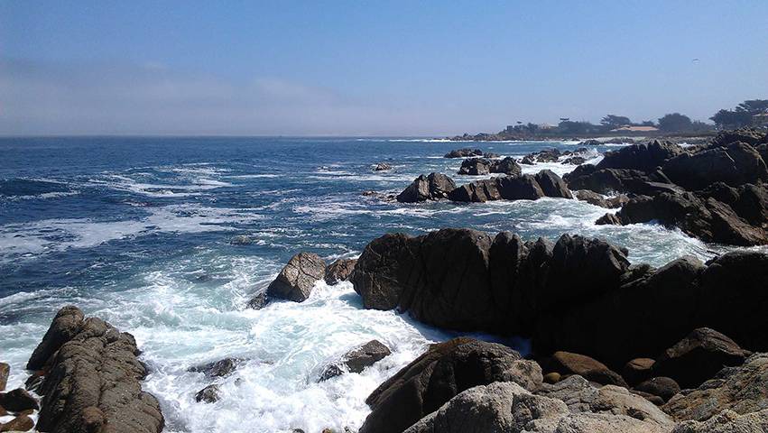 Photo of Others in Monterey