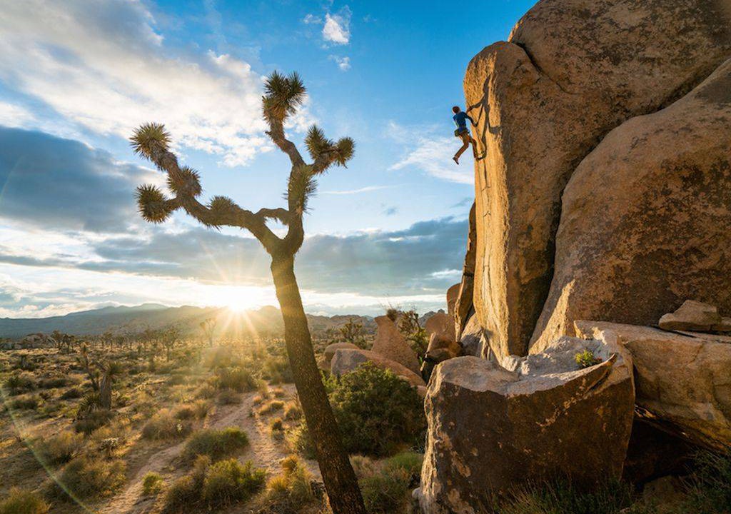 Photo of Others in Desert Hot Springs
