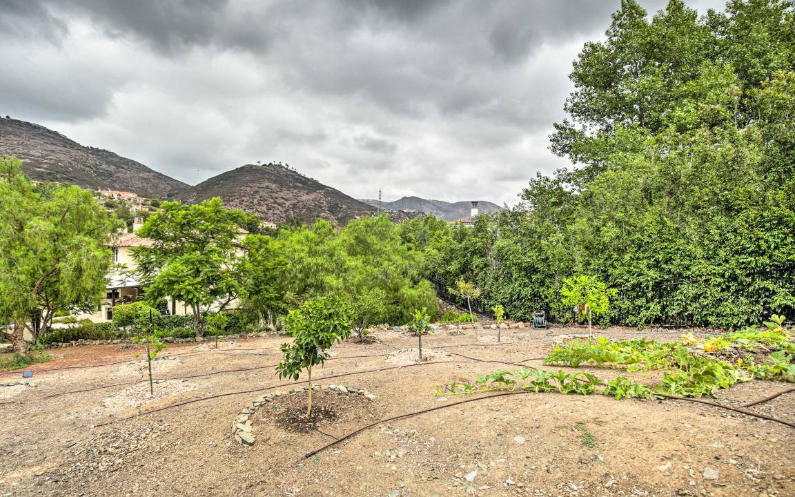 Photo of Others in Escondido