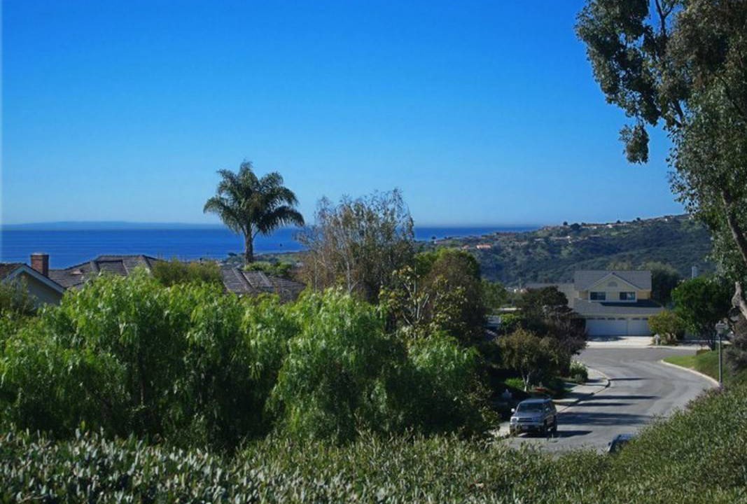 Photo of Others in Laguna Niguel