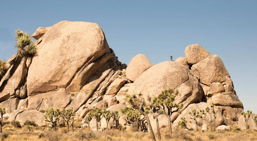 Photo of Others in Twentynine Palms
