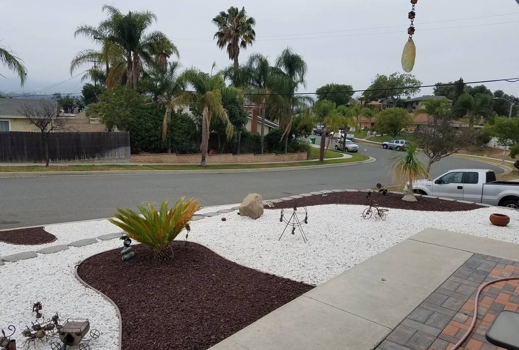Photo of Others in Corona